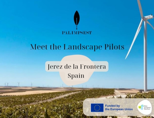 Jerez de la Frontera: Creative Practices in dialogue with tradition and innovation