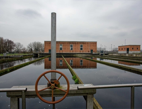 PALIMPSEST at the MAF – Museo Acqua Franca