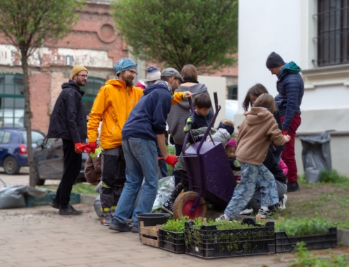 Participatory Workshop  “Station: Greenery” in the  Łódź Pilot