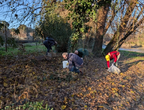 IMMACCHINARIUM closes 2025 with a poetic Land Art action on the Lambro River
