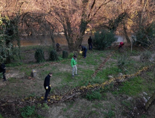 IMMACCHINARIUM closes 2025 with a poetic Land Art action on the Lambro River
