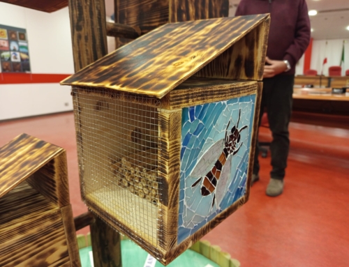 Milan Pilot & IMMACCHINARIUM project at the “E il Lambro silenzioso sta a guardare” event